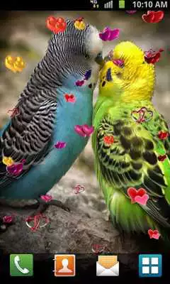 Play Love Birds Live Wallpaper