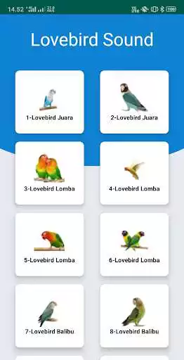 Play Lovebird Sound and enjoy Lovebird Sound with UptoPlay Play Lovebird Sound and enjoy Lovebird Sound with UptoPlay