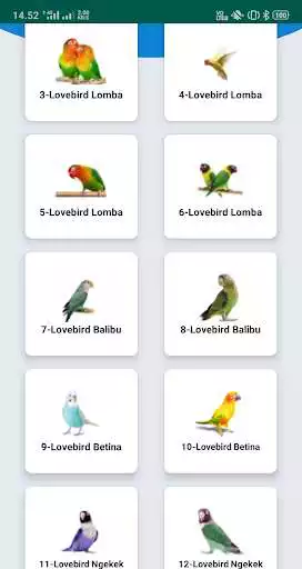 Play Lovebird Sound as an online game online Lovebird Sound with UptoPlay Play Lovebird Sound as an online game Lovebird Sound with UptoPlay