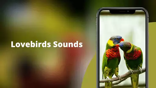 Play Lovebird Sounds  and enjoy Lovebird Sounds with UptoPlay