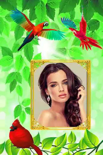 Play Love Birds Photo Frame as an online game Love Birds Photo Frame with UptoPlay