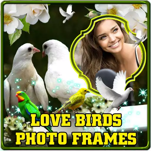 Free play online Love Birds Photo Frames APK