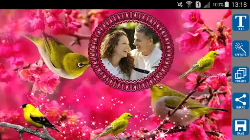 Play Love Birds Photo Frames as an online game Love Birds Photo Frames with UptoPlay