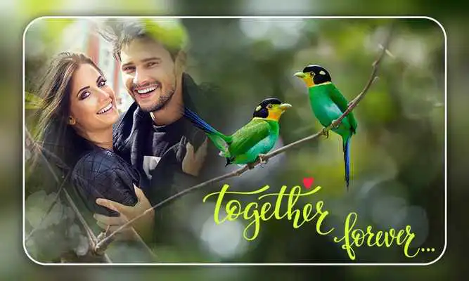 Play Love Birds Photo Frames