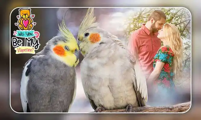 Play Love Birds Photo Frames