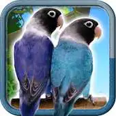 Free play online Lovebirds Unified Common APK Free play online Lovebirds Unified Common APK