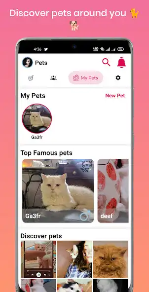 Play Love Bites  and enjoy Love Bites with UptoPlay