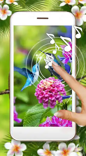 Play Love Colibri Live Wallpaper  and enjoy Love Colibri Live Wallpaper with UptoPlay