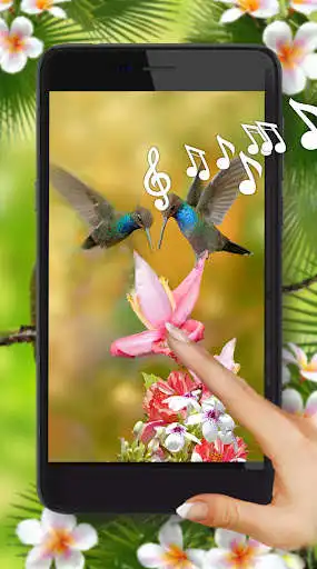 Play Love Colibri Live Wallpaper as an online game Love Colibri Live Wallpaper with UptoPlay