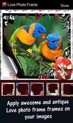 Play Love Frames 2019 Play Love Frames 2019