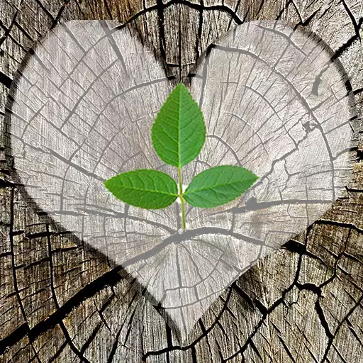 Play Love Hope Faith  and enjoy Love Hope Faith with UptoPlay