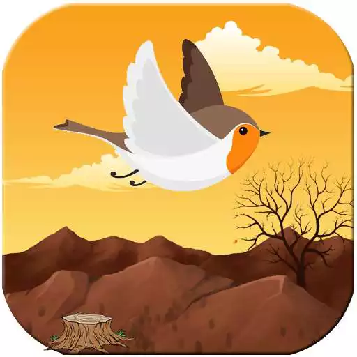 Play Lovely Bird APK Play Lovely Bird APK