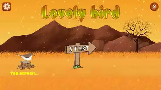 Play Lovely Bird  and enjoy Lovely Bird with UptoPlay