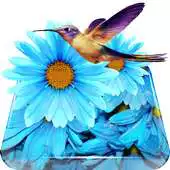 Free play online Lovely Colibri Live Wallpaper APK