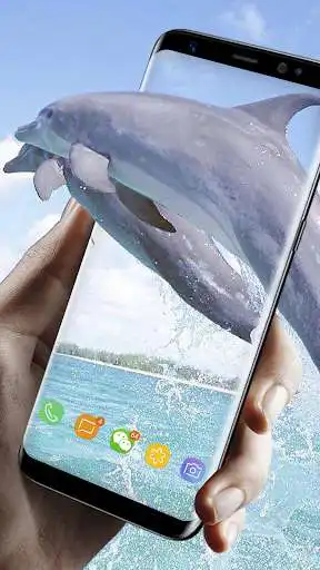 Play Lovely Dolphin Live Wallpaper as an online game Lovely Dolphin Live Wallpaper with UptoPlay