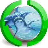 Free play online Lovely Dolphins Live Wallpaper APK Free play online Lovely Dolphins Live Wallpaper APK