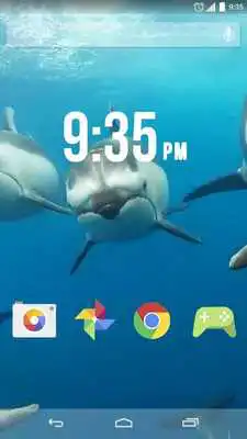 Play Lovely Dolphins Live Wallpaper