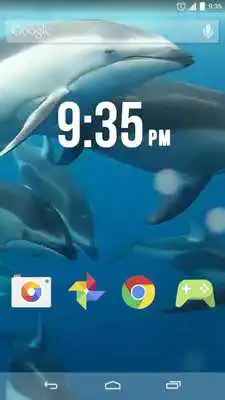 Play Lovely Dolphins Live Wallpaper