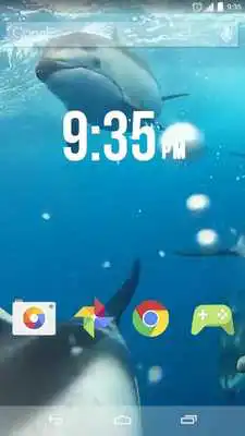 Play Lovely Dolphins Live Wallpaper