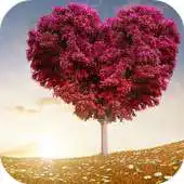 Free play online Lovely Frames APK Free play online Lovely Frames APK