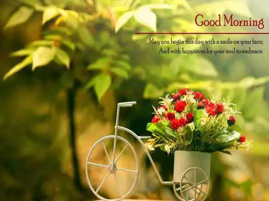 Play Lovely Good Morning HD Images 2018