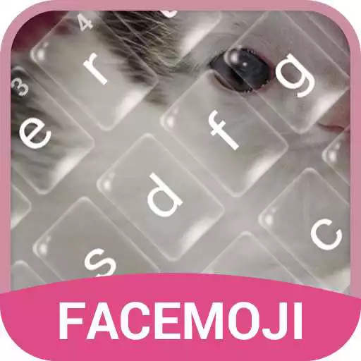 Free play online Lovely Kitten Bubble Keyboard Theme for Snapchat APK Free play online Lovely Kitten Bubble Keyboard Theme for Snapchat APK