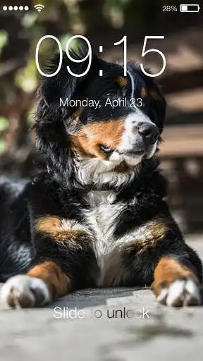 Play APK Lovely Love Dog Screen Lock  and enjoy Lovely Love Dog Screen Lock with UptoPlay com.trendCoolock.loveleog