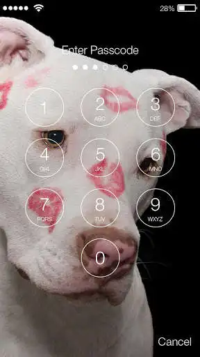 Play APK Lovely Love Dog Screen Lock  and enjoy Lovely Love Dog Screen Lock with UptoPlay com.trendCoolock.loveleog
