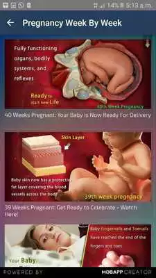 Play Lovely Papa Play Lovely Papa