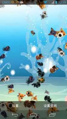 Play Lovely Pet  Lwp