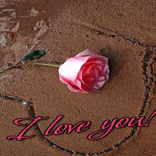 Play Lovely Pink Rose LWP APK Play Lovely Pink Rose LWP APK