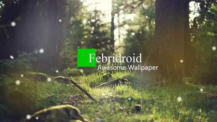 Play Lovely Rabbit Wallpaper Play Lovely Rabbit Wallpaper