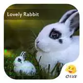 Free play online Lovely Rabit In Green Theme APK Free play online Lovely Rabit In Green Theme APK