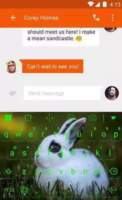 Play Lovely Rabit In Green Theme