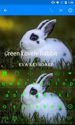 Play Lovely Rabit In Green Theme