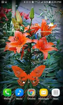 Play Lovely Red Flower LWP