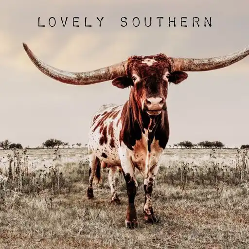 Play Lovely Southern Boutique APK Play Lovely Southern Boutique APK
