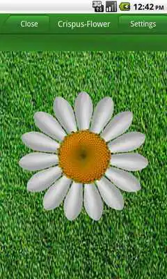 Play Love me (Daisy)