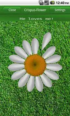 Play Love me (Daisy)