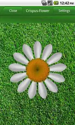 Play Love me (Daisy)