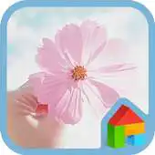 Free play online love me dodol theme APK Free play online love me dodol theme APK