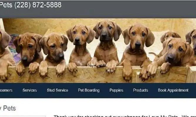 Play Love My Pets Play Love My Pets