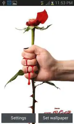 Play Love Pain Live Wallpaper Play Love Pain Live Wallpaper