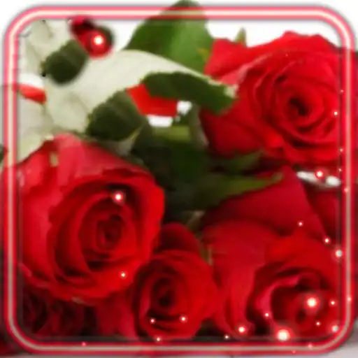 Play Love Rose HD Live Wallpaper APK Play Love Rose HD Live Wallpaper APK