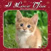 Free play online Love U : Photo Frames APK