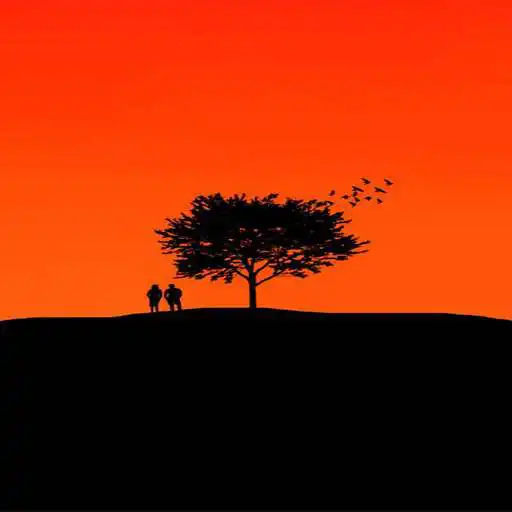 Play love wallpapers 4K APK Play love wallpapers 4K APK