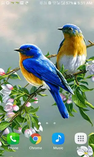 Play Loving Bird Live Wallpaper