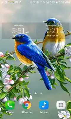 Play Loving Bird Live Wallpaper