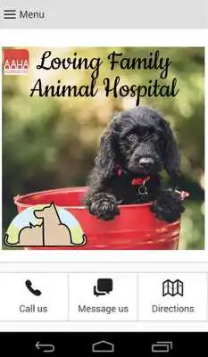 Play Loving Family Vet