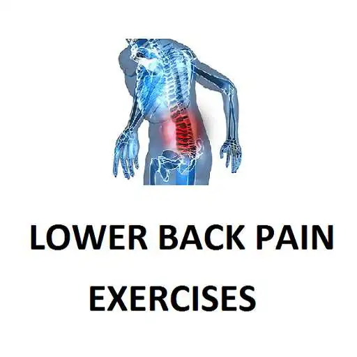 Free play online Lower Back Pain Exercises APK